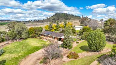 Farm For Sale - NSW - Werris Creek - 2341 - A NEW OUTLOOK ON LIFE  (Image 2)