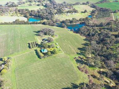 Farm For Sale - NSW - Young - 2594 - "ROCKLEIGH" 47acs* Only Minutes To Town  (Image 2)