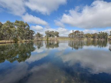 Farm For Sale - NSW - Young - 2594 - "ROCKLEIGH" 47acs* Only Minutes To Town  (Image 2)