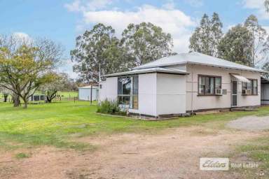 Farm Sold - WA - Kendenup - 6323 - Kendenup Classic!  (Image 2)