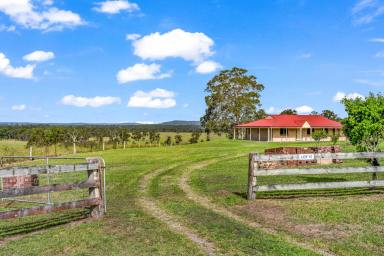 Farm For Sale - NSW - The Branch - 2425 - Exceptional Picturesque Riverfront Acreage  (Image 2)