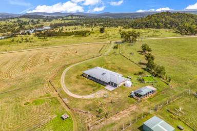 Farm For Sale - NSW - The Branch - 2425 - Sprawling 100acre Rural Retreat  (Image 2)