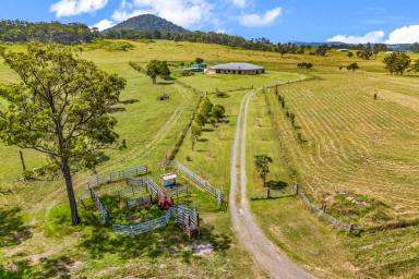 Farm For Sale - NSW - The Branch - 2425 - Sprawling 100acre Rural Retreat  (Image 2)