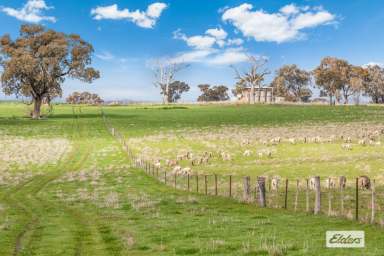 Farm For Sale - VIC - Knowsley - 3523 - Grazing and Cropping Country or Picturesque Setting for a New Homestead  (Image 2)