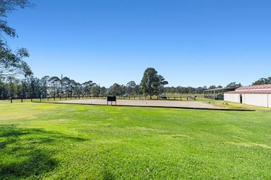 Farm For Sale - NSW - East Maitland - 2323 - STOP DREAMING AND START LIVING!  (Image 2)