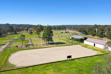 Farm For Sale - NSW - East Maitland - 2323 - STOP DREAMING AND START LIVING!  (Image 2)