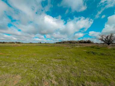 Farm For Sale - VIC - Kerang - 3579 - Unique 3.41 Ha (8.5 Acres) Farmlet  (Image 2)