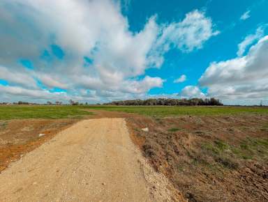 Farm For Sale - VIC - Kerang - 3579 - Unique 3.41 Ha (8.5 Acres) Farmlet  (Image 2)