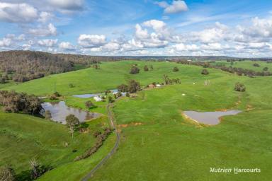 Farm For Sale - WA - Thomson Brook - 6239 - 'PICTURESQUE PRIVATE LOCATION WITH WATER AND INCOME'  (Image 2)