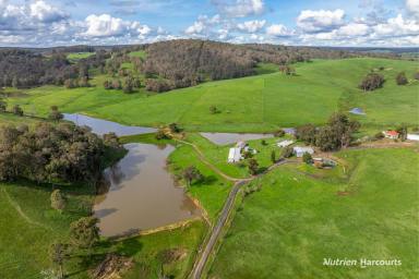 Farm For Sale - WA - Thomson Brook - 6239 - 'PICTURESQUE PRIVATE LOCATION WITH WATER AND INCOME'  (Image 2)