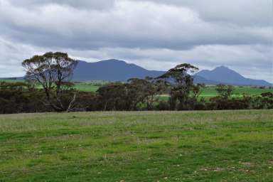 Farm For Sale - WA - Amelup - 6338 - Cambawarra  (Image 2)