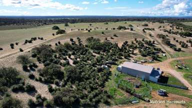 Farm For Sale - WA - Cowalla - 6503 - 74 Acre Hobby Farm Close To Coast!  "Seabird- Ledge Point- Lancelin"  (Image 2)