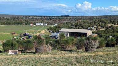 Farm For Sale - WA - Cowalla - 6503 - 74 Acre Hobby Farm Close To Coast!  "Seabird- Ledge Point- Lancelin"  (Image 2)