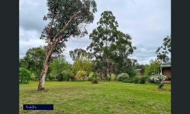 Farm Sold - NSW - Inverell - 2360 - SOLD OFF MARKET!!!!!  (Image 2)