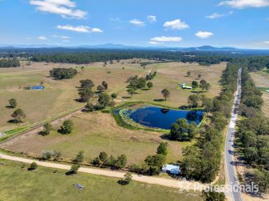 Farm For Sale - QLD - Curra - 4570 - "Sun-E-Vale"  (Image 2)