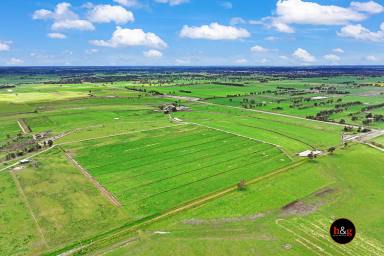 Farm For Sale - VIC - Kyabram - 3620 - CONVENIENTLY LOCATED DAIRY FARM  (Image 2)