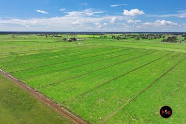 Farm For Sale - VIC - Kyabram - 3620 - CONVENIENTLY LOCATED DAIRY FARM  (Image 2)