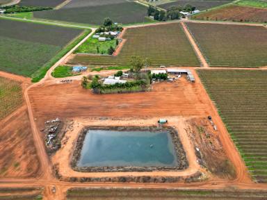 Farm For Sale - VIC - Red Cliffs - 3496 - Exceptional Investment Opportunity at Vartuli Vineyards - A Premier Table Grape Farm  (Image 2)