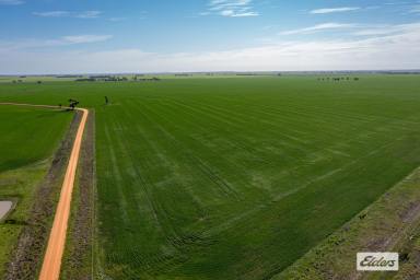 Farm For Sale - VIC - Marnoo - 3387 - 'ORANA' Large Scale Cropping/Livestock opportunity in the reliable and tightly held Marnoo Region  (Image 2)