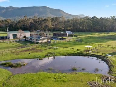 Farm Auction - NSW - Mount Vincent - 2323 - An Equestrians Dream  (Image 2)