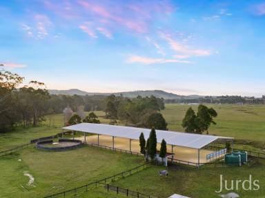 Farm Auction - NSW - Mount Vincent - 2323 - An Equestrians Dream  (Image 2)