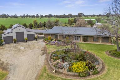 Farm For Sale - VIC - Bamawm - 3561 - 133 ACRE FARM - QUALITY HOME AND SHEDDING  (Image 2)