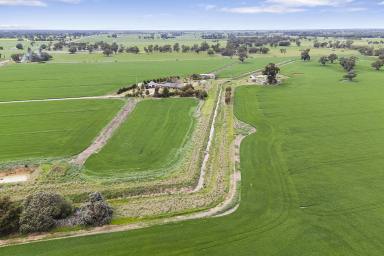 Farm For Sale - VIC - Bamawm - 3561 - 133 ACRE FARM - QUALITY HOME AND SHEDDING  (Image 2)