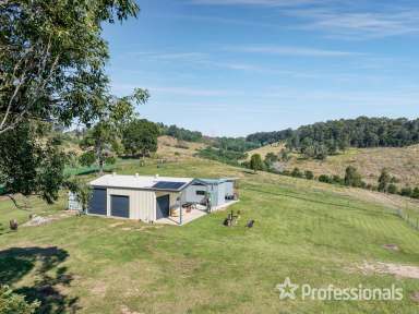 Farm For Sale - QLD - Kybong - 4570 - Ideal Weekender - Rural Land With Shed, Dam & Creek  (Image 2)