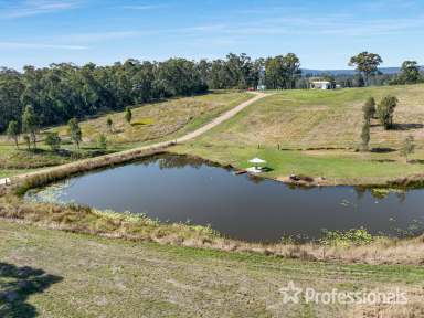 Farm For Sale - QLD - Kybong - 4570 - Ideal Weekender - Rural Land With Shed, Dam & Creek  (Image 2)