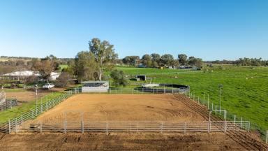 Farm Auction - NSW - Tamworth - 2340 - OUTSTANDING EQUINE PROPERTY MINUTES FROM AELEC  (Image 2)