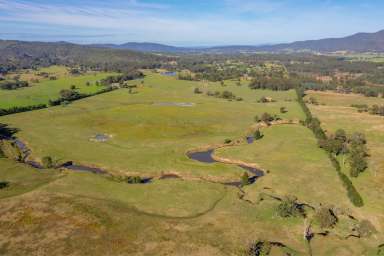 Farm Sold - NSW - Hilldale - 2420 - Your Masterpiece Awaits  (Image 2)