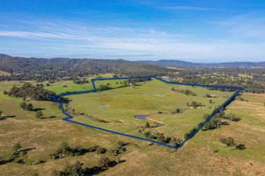 Farm For Sale - NSW - Hilldale - 2420 - Your Masterpiece Awaits  (Image 2)