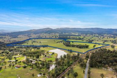 Farm For Sale - NSW - Hilldale - 2420 - Your Masterpiece Awaits  (Image 2)