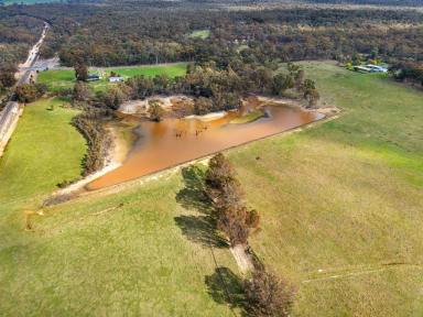 Farm For Sale - VIC - Talbot - 3371 - 19.67HA (48.60 Acres) - A First Rate Lifestyle Beckons - Guaranteed To Tick All Boxes  (Image 2)