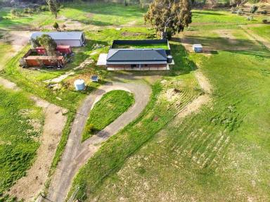 Farm For Sale - VIC - Talbot - 3371 - 19.67HA (48.60 Acres) - A First Rate Lifestyle Beckons - Guaranteed To Tick All Boxes  (Image 2)