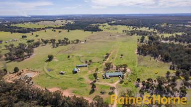 Farm Auction - NSW - Dubbo - 2830 - Rural Lifestyle Opportunity  (Image 2)