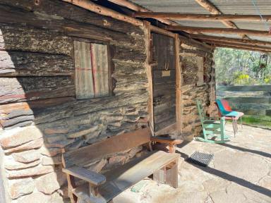 Farm For Sale - QLD - Applethorpe - 4378 - Kurrajong Place - Uncle Tom's Cabin  (Image 2)