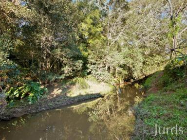 Farm Auction - NSW - Congewai - 2325 - Luscious Land  (Image 2)