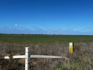 Farm For Sale - VIC - Beauchamp - 3579 - Cropping or Grazing Country  (Image 2)