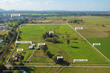 Farm For Sale - NSW - Wauchope - 2446 - Prime Location / Highly Profitable Rural Property (15.62ha / 38.5 acres)  (Image 2)