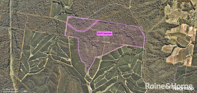 Farm For Sale - QLD - Peachester - 4519 - Expansive rural land holding with town block pricetag!  (Image 2)