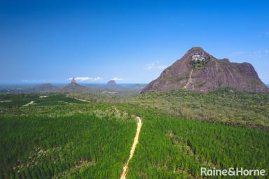 Farm For Sale - QLD - Peachester - 4519 - Stunning conservation property neighbouring Mount Beerwah  (Image 2)