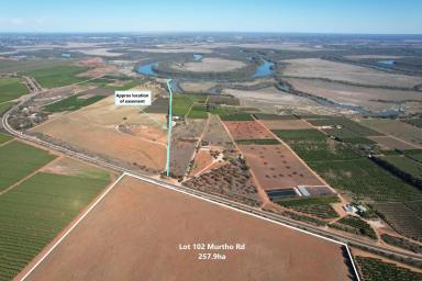 Farm For Sale - SA - Murtho - 5340 - Excellent Horticulture Development Opportunity  (Image 2)