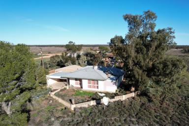 Farm For Sale - SA - Boolgun - 5330 - Lovejoy Park and Back Block (Salt Well under contract)  (Image 2)