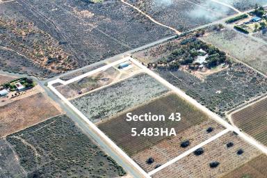 Farm For Sale - SA - Renmark - 5341 - Rural living opportunity  (Image 2)