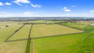 Farm For Sale - VIC - Kilmany - 3851 - 105 Acre Rural/ Lifestyle property, located in Kilmany  (Image 2)