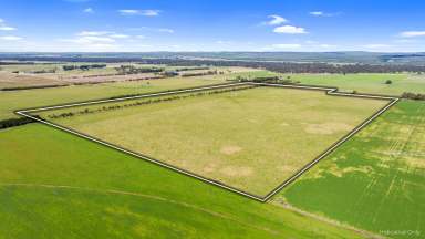 Farm For Sale - VIC - Kilmany - 3851 - 105 Acre Rural/ Lifestyle property, located in Kilmany  (Image 2)