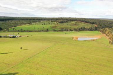 Farm For Sale - WA - Kingston - 6256 - Peace and Quiet Off Grid  (Image 2)