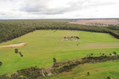 Farm For Sale - WA - Bridgetown - 6255 - Peace and Quiet Off Grid  (Image 2)