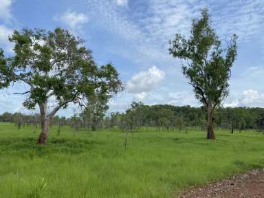 Farm For Sale - NT - Marrakai - 0822 - Unique 309ha Freehold Property  (Image 2)